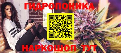 крисы Комсомольск-на-Амуре