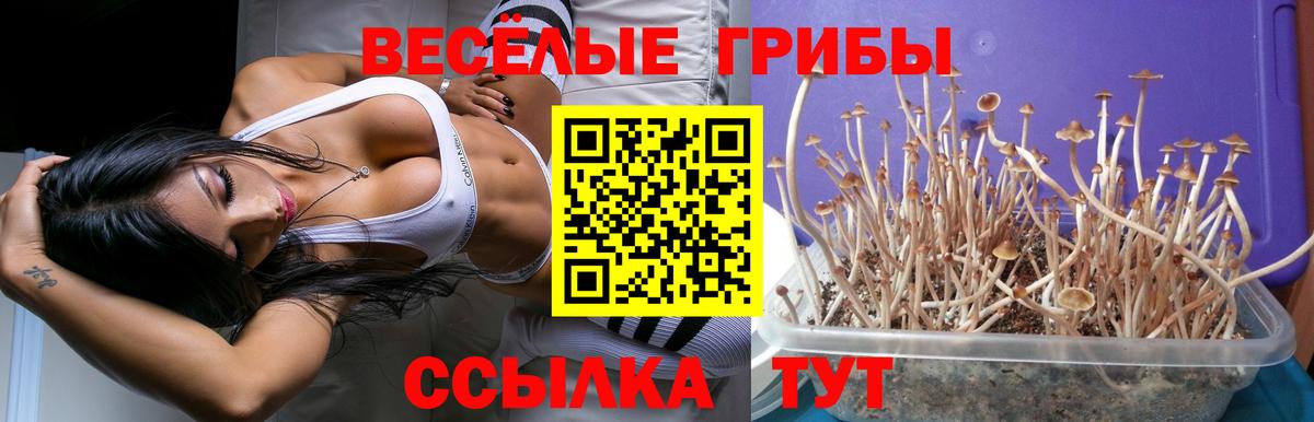 Галлюциногенные грибы прущие грибы Каспийск